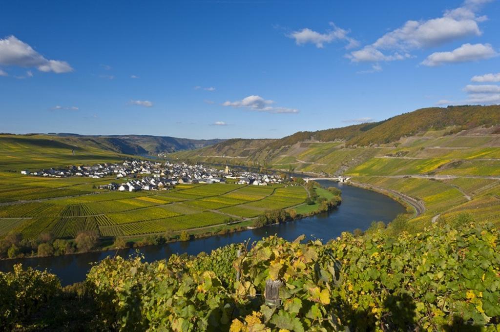 Gaestehaus Sophie Trittenheim Luaran gambar